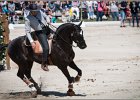 Pferd International 097